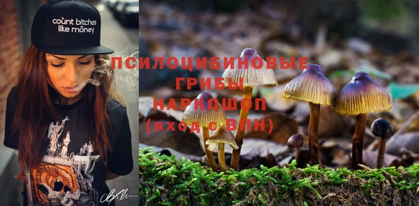 спайс Киреевск