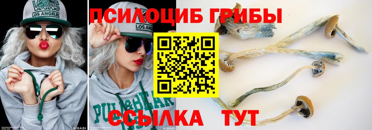 Лсд 25  МАРИХУАНА  Метадон  Меф   ГАШИШ  Вход с VPN  Где продают наркотики?  Заинск  MDMA  АМФ кристаллы  Alpha-PVP СОЛЬ кристаллы 