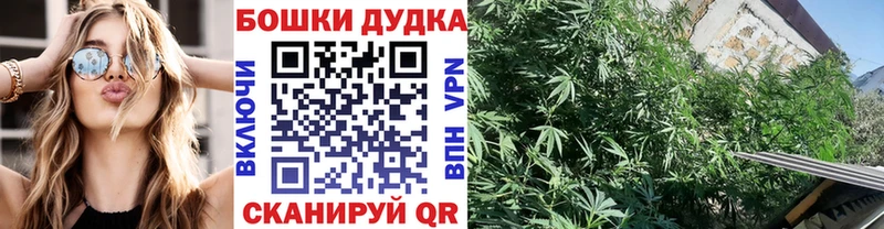 МАРИХУАНА гибрид  как найти закладки  Заинск 